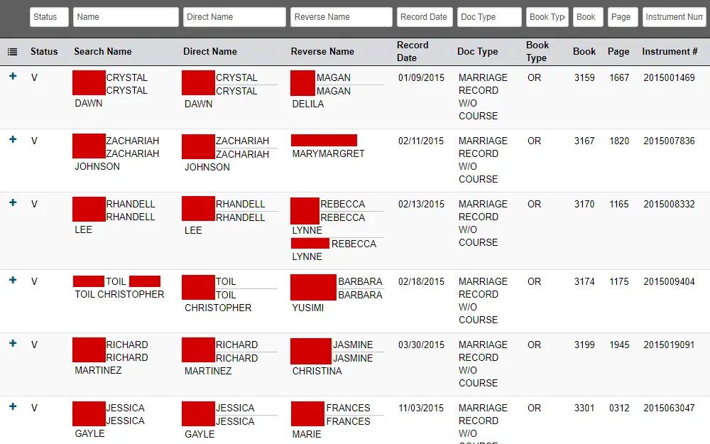 Screenshot of the official records search result listing the status, names of spouses, record dates, document types, book types, books, pages, and instrument numbers.