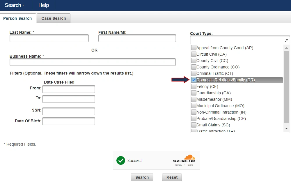 Screenshot of the case search tool from Hernando County Clerk of Court & Comptroller displaying the content under the "person search" tab, which is made up of fields for last name, first name, business name, case filing date range, SS number, date of birth, and court type.